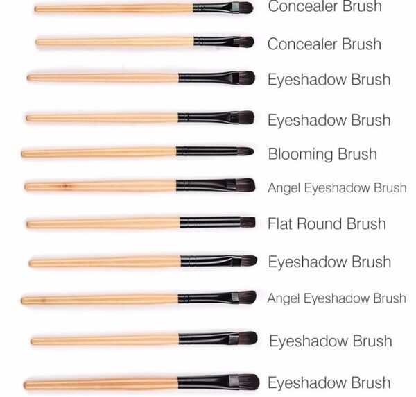 Professional Makeup Brushes