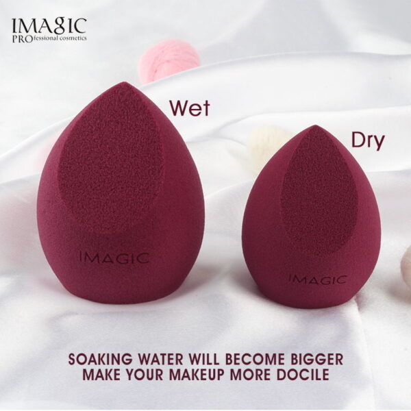 IMAGIC Latex Free Makeup Sponge